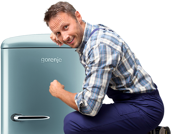 Ремонт холодильников Gorenje